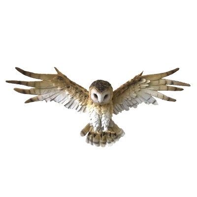 Wisdom Flight Barn Owl Wall Hanging